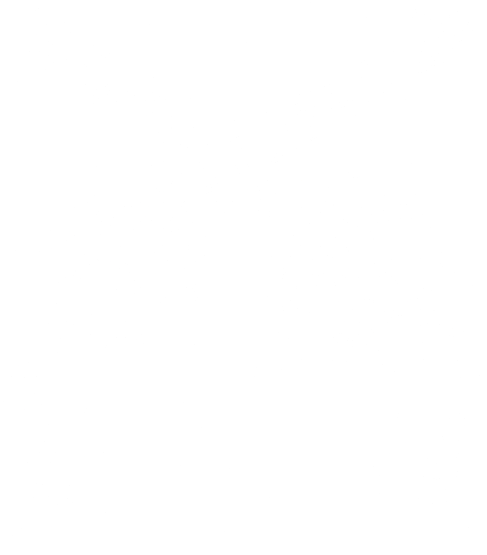 Pistols
